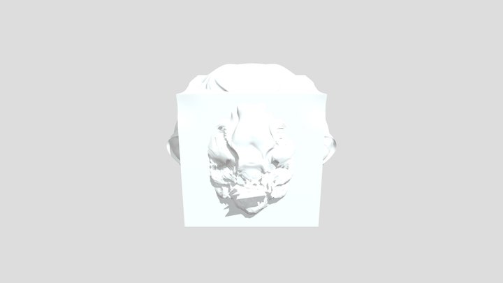 My model 3D Model