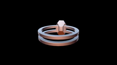 RING 3D Model