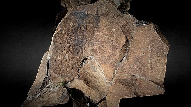 Grabados Rupestres Acoran
