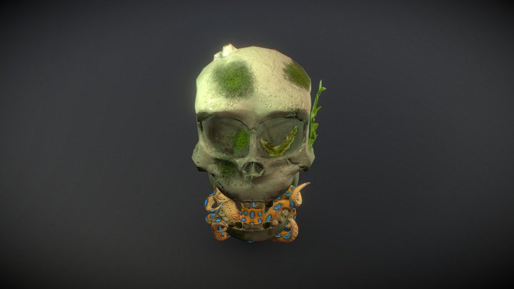 Skull out of the water with a visitor 3D Model