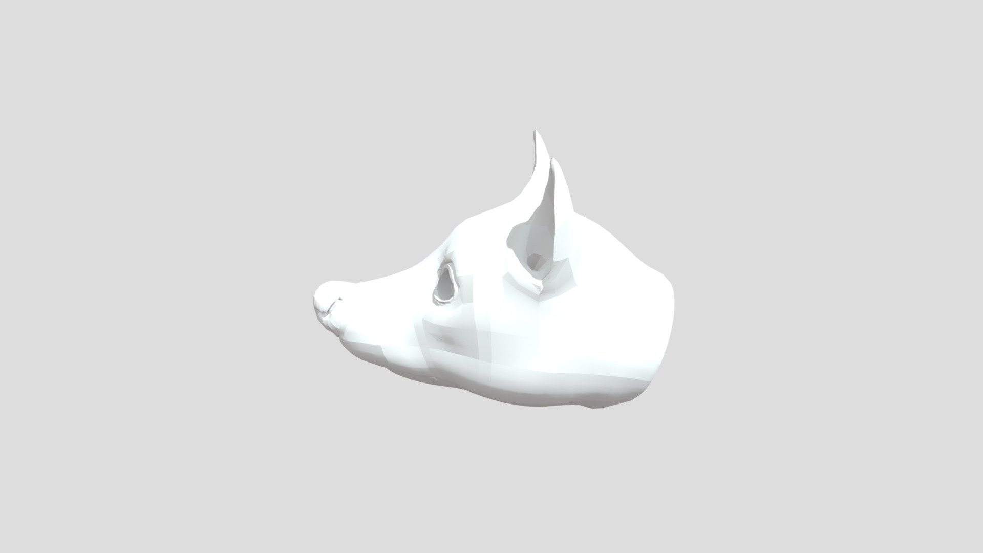 Head of Raccoon without Fur — Sketchfab embed 3D viewer