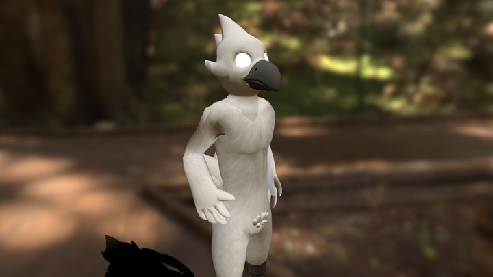Furry Bird 3D Model