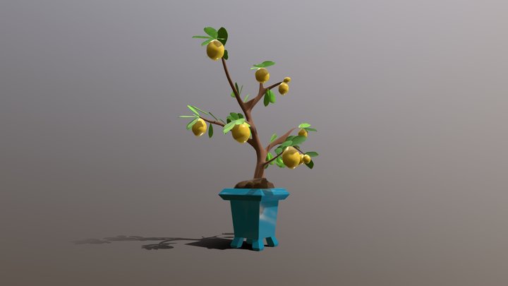 Lemon Tree- Plant Project 116 3D Model