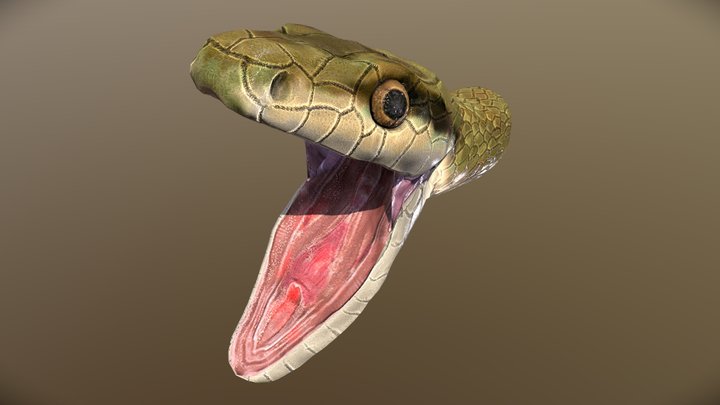 Snake head 3D Model