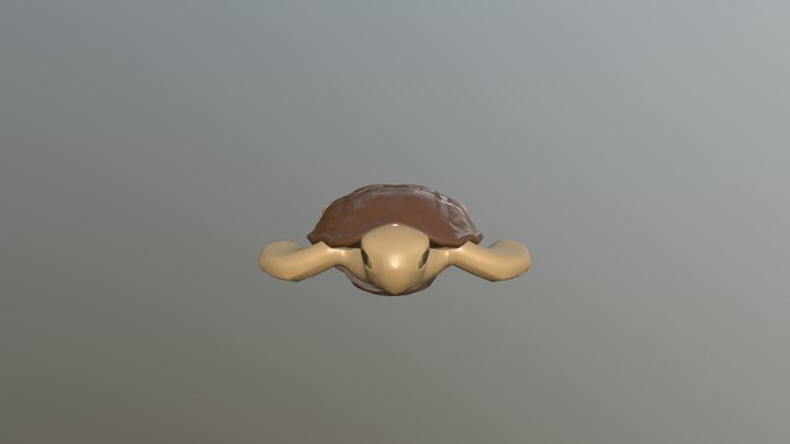 Turtle 3D Model