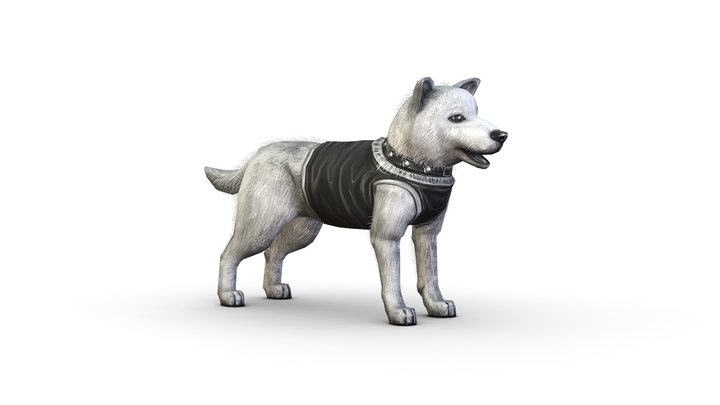 Low Poly White and Black Funny Dog 3D Model