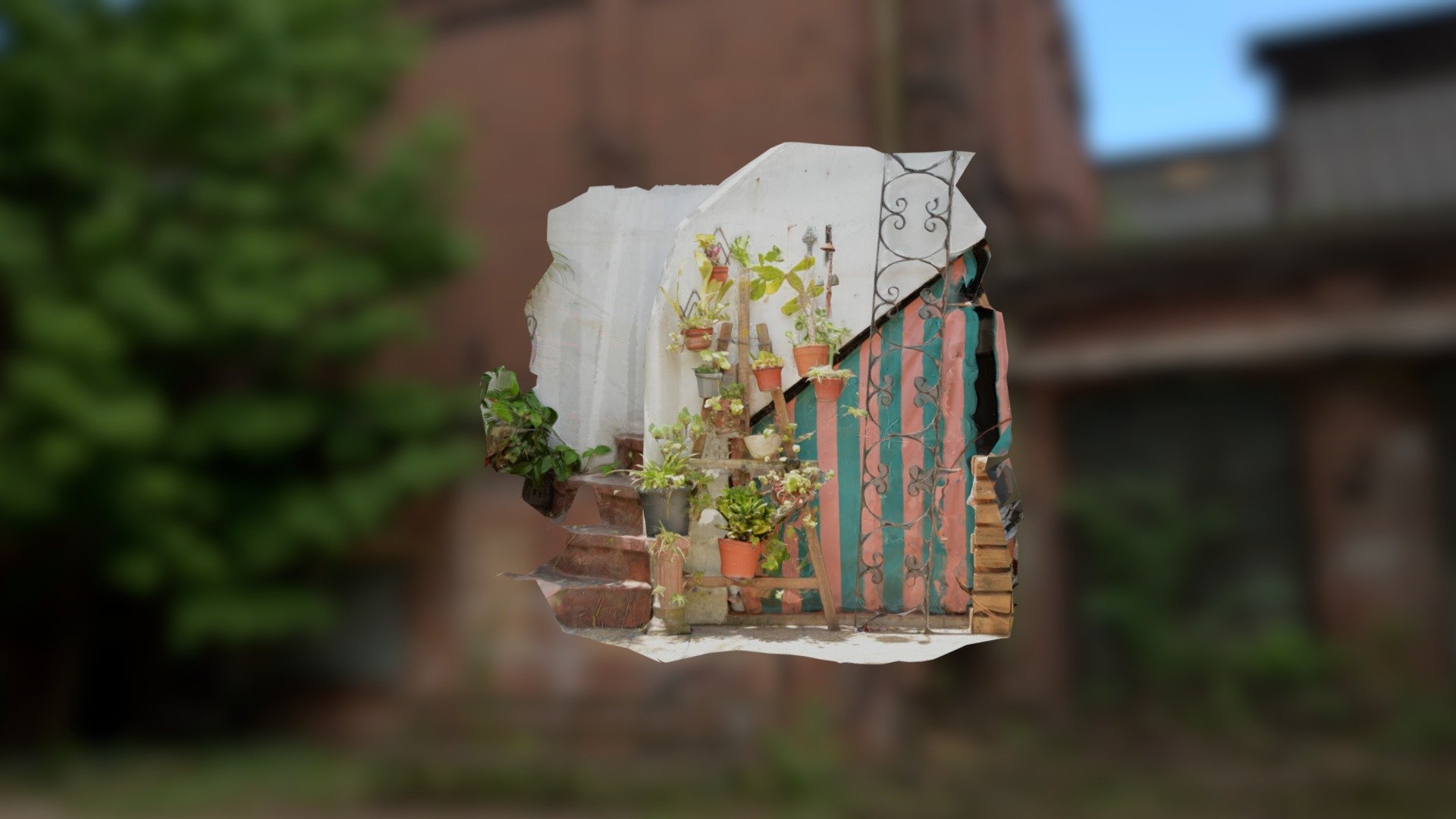 plantas