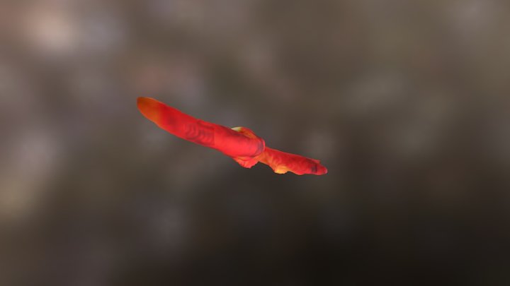 rho1e-8 3D Model