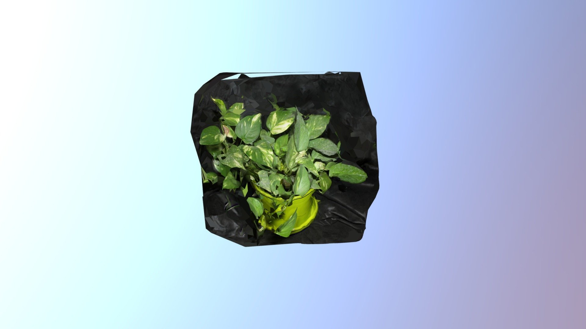 Mimaravilloso modelo 3D