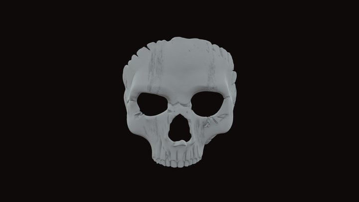 MSk 3D Model