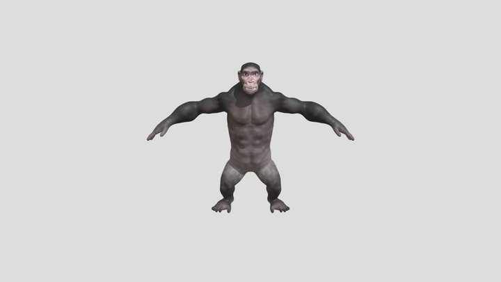 Gorilla 3D Model