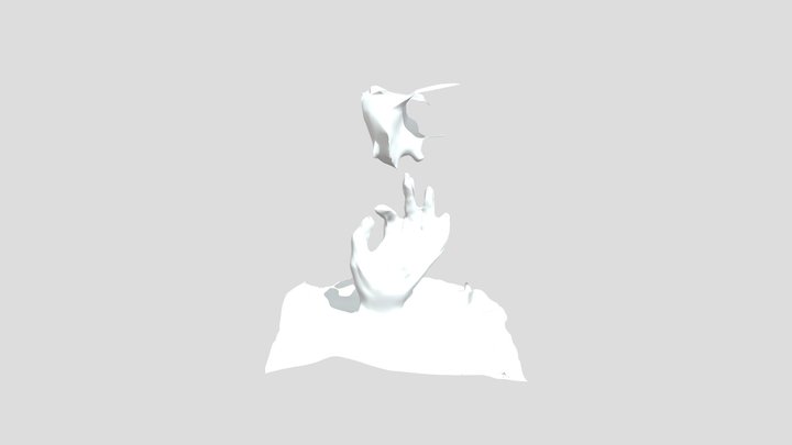 3D scanned hand mesh 3D Model