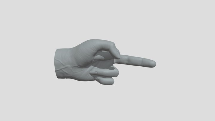 Middle finger hand 3D Model