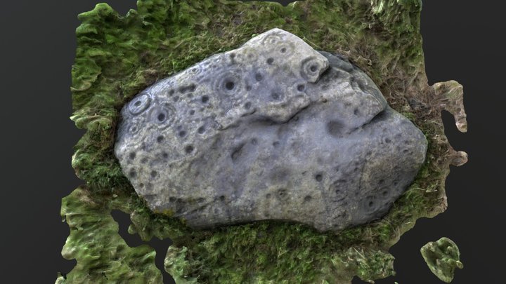 Cup and Ring Marked Stone from Monzie 3D Model