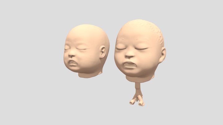 Head Simbaby CDIT 3D Model