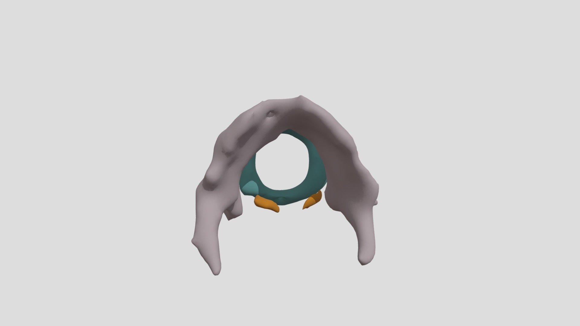 Laryngeal cartilages 3D model by gyozo.cz [efa6016] Sketchfab