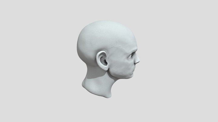Luke Bust Sculpt (No Hair) 3D Model
