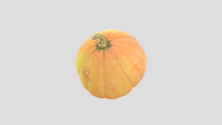 Pumpkin 3D Model