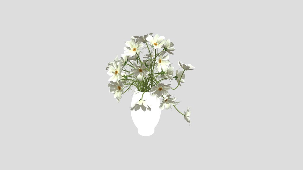 White Cosmos Flower