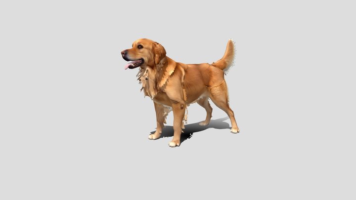 Low poly Golden Retriever dog
