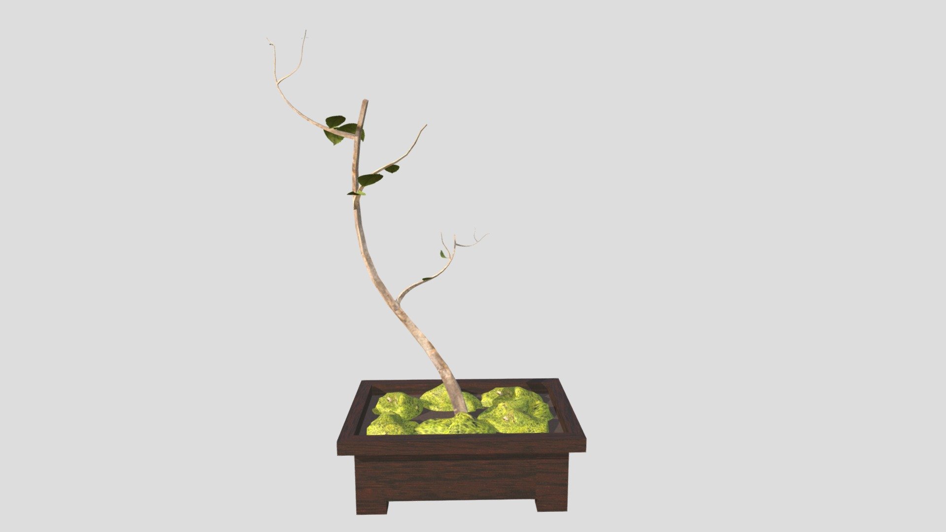 Megan, Jacobs- Plant