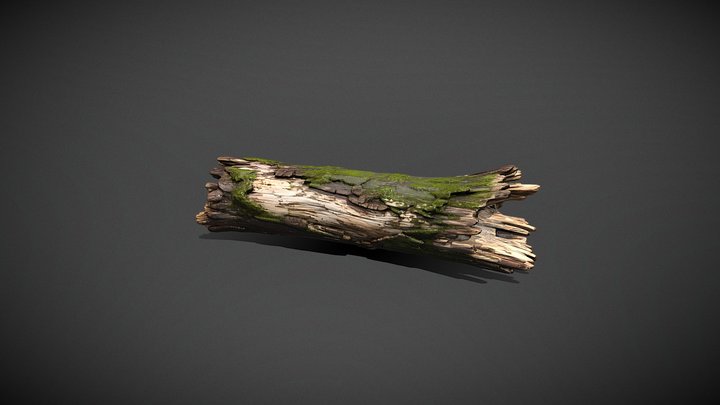 Medium Mossy River Log