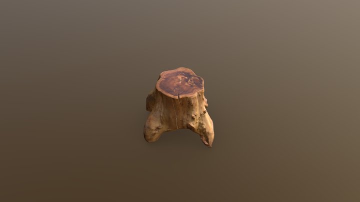 Mudun-S 3D Model