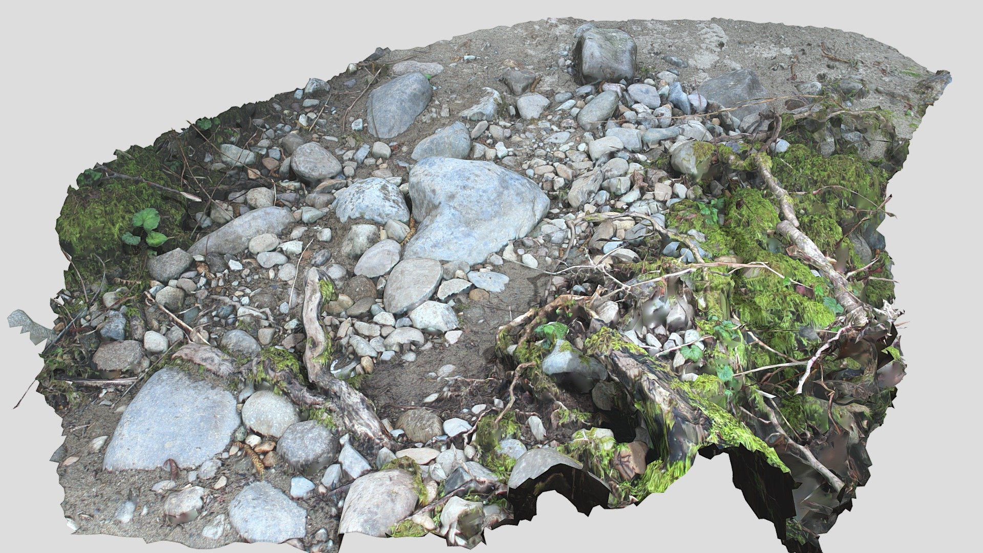 Rock and Moss/plants