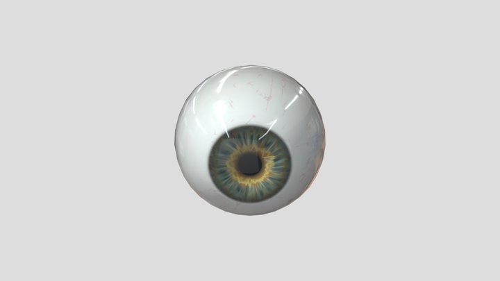 Realistic eyeball 3D Model