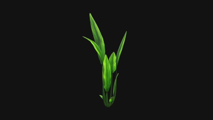 Lowpoly marine plant – Free 3D Model STL