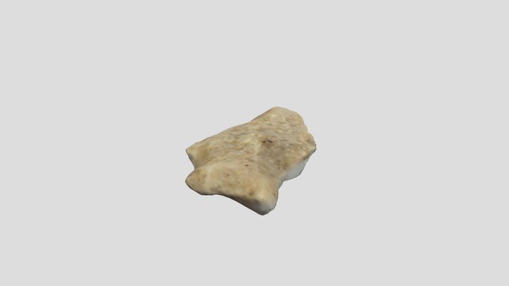 Brent Cemetery Savannah River Projectile Point 3D Model