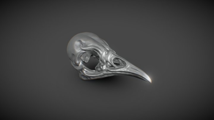 Starling Skull 3D Model