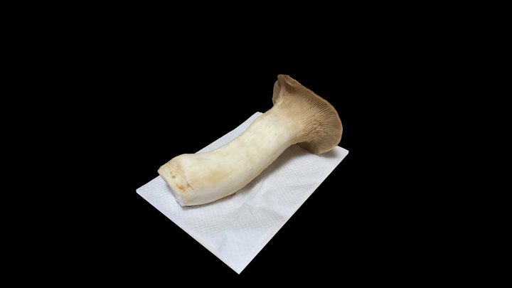 Eringi mushroom (1) 3D Model