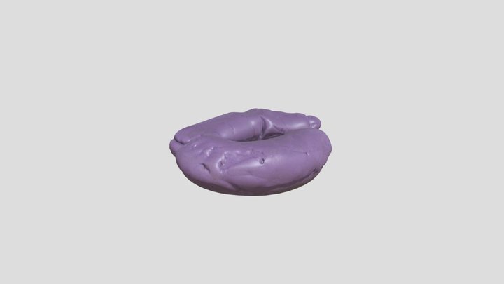 aaran kidneys – Modello 3D gratuito STL