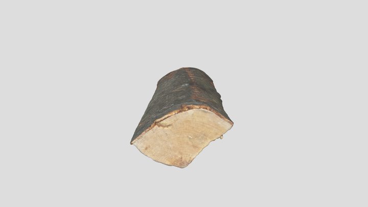 ZarcoGarcía_published 3D Model