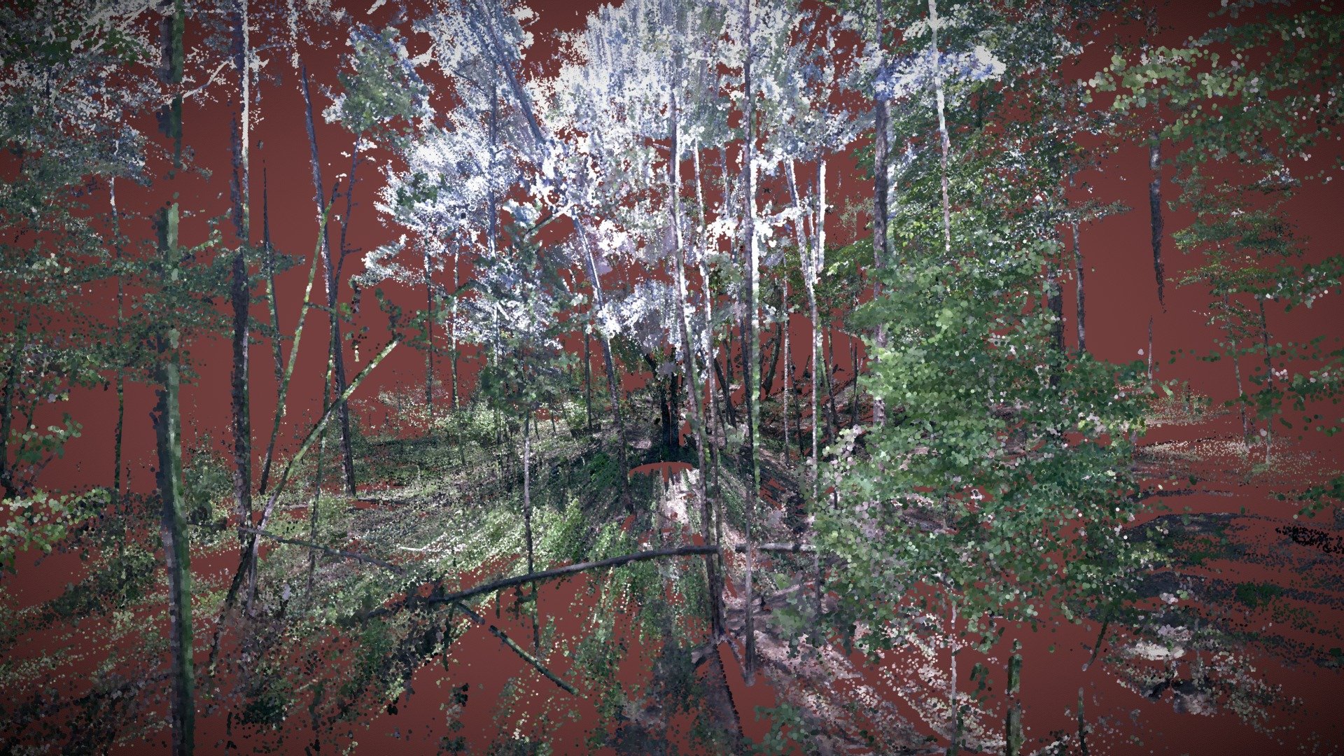 ELSF00050721 Cropped