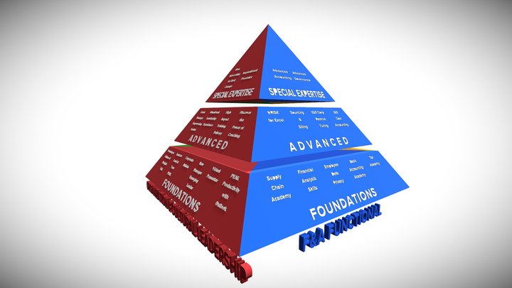 ONE PS F&A CAPABILITY PYRAMID 3D Model