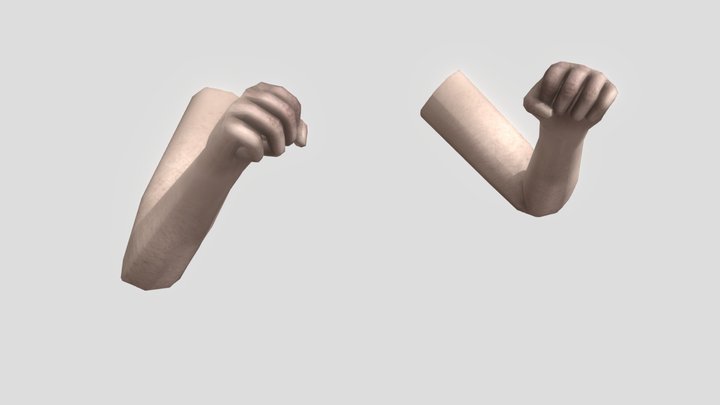 PSX First Person Arms 3D Model