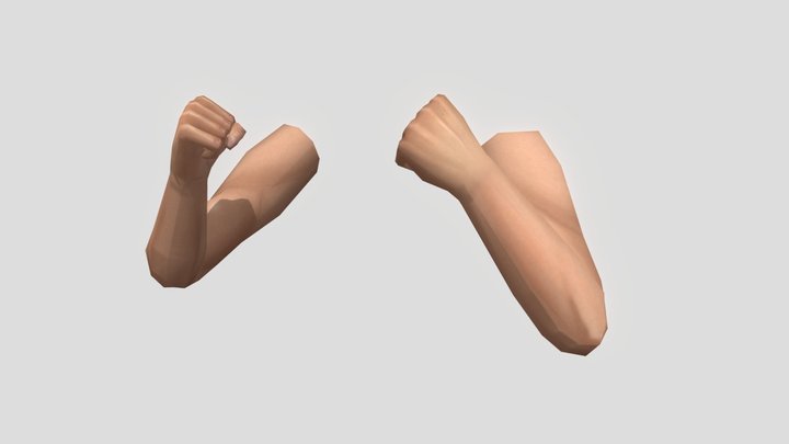 PSX First Person Arms 3D Model