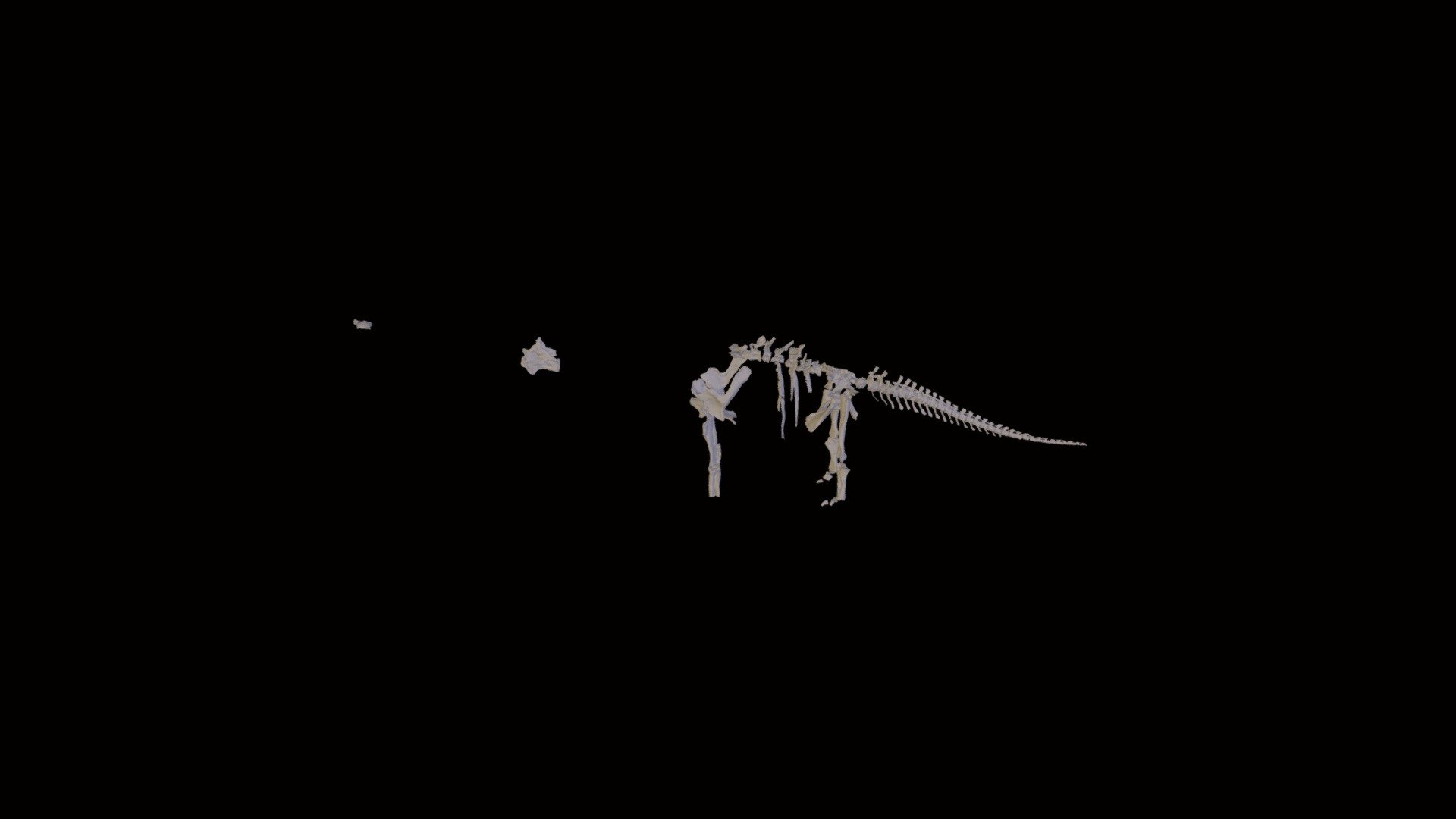 Dreadnoughtus skeleton