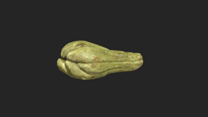 Chayote 3D Model