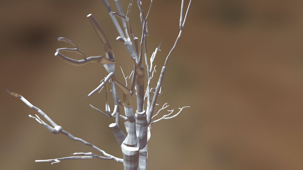 Maple Tree