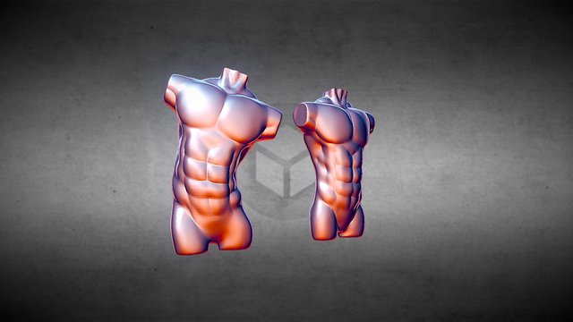 Body Man 3D Model