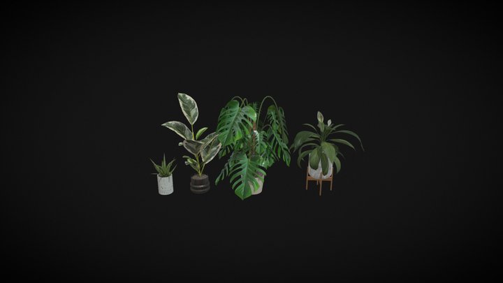Indoor Plants 3D Model
