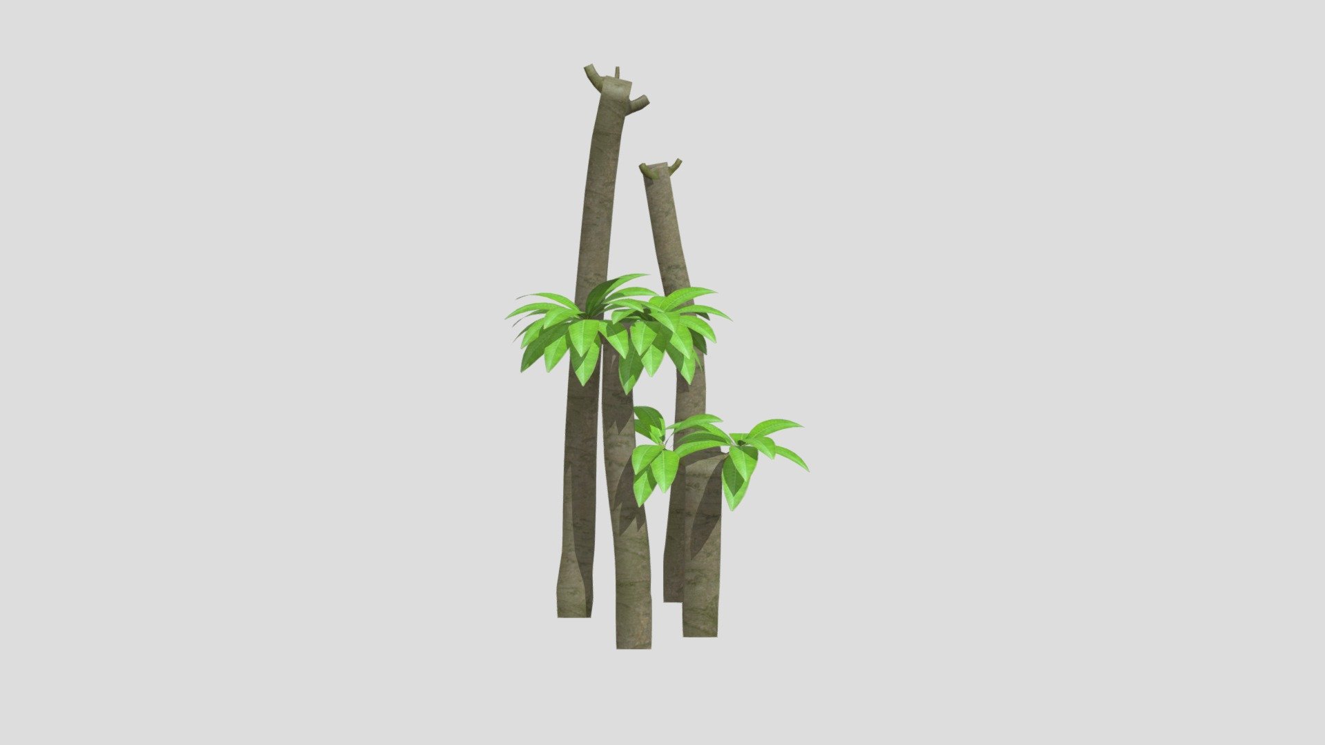 test7