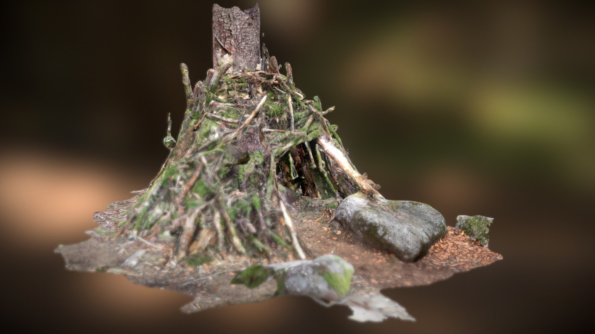 Stick Shelter