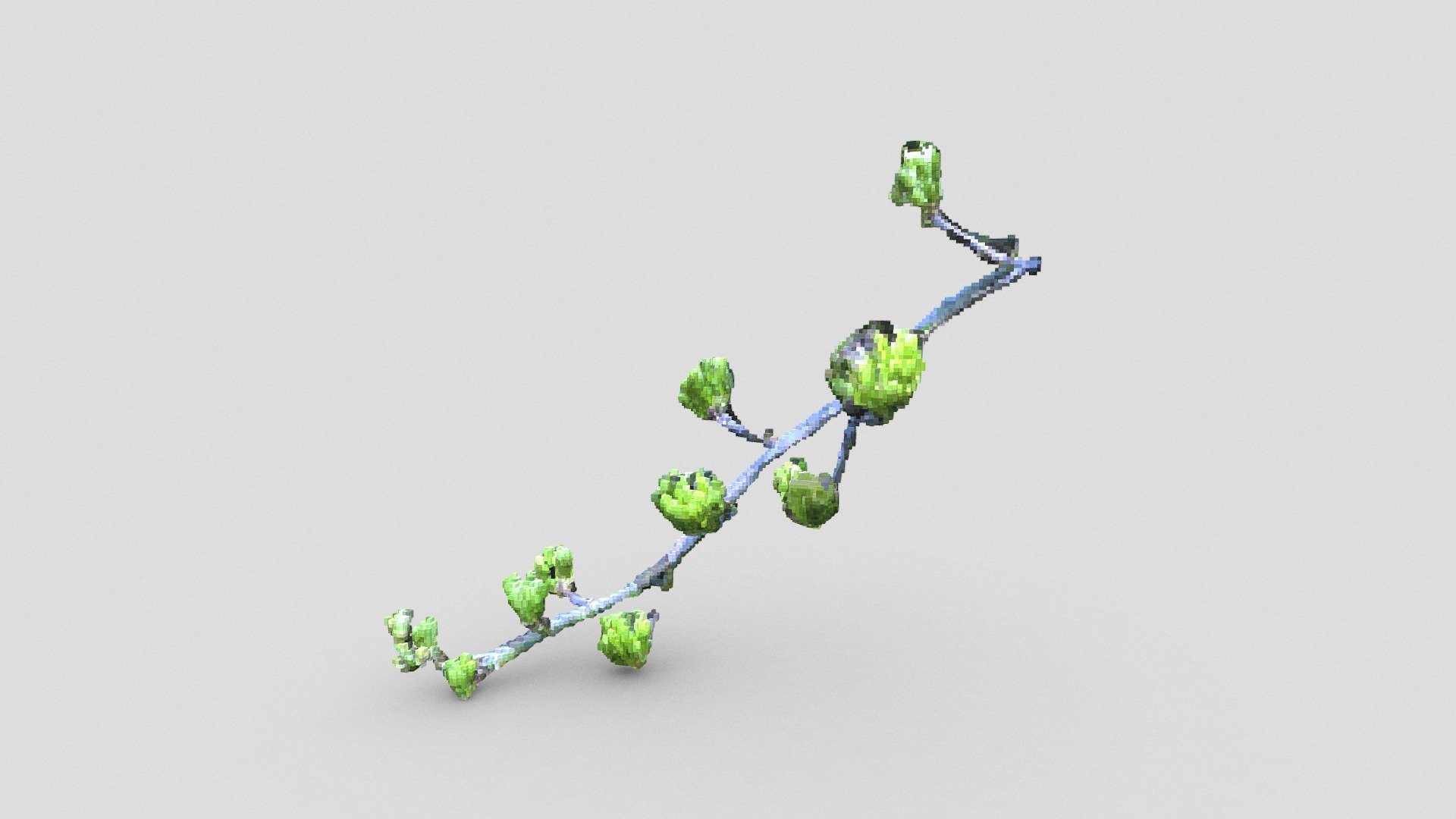 Aloe flower (voxelized)