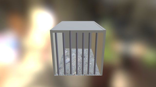 Cage 3D Model