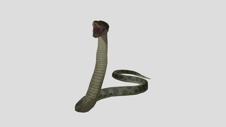 Anaconda attack jungle 3D Model
