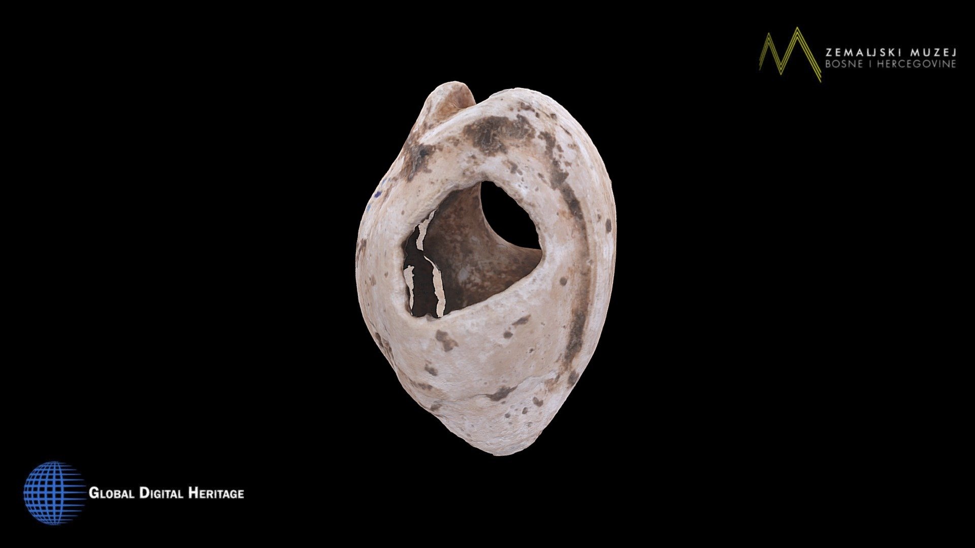 NMB&H, Palaeolithic snail shell jewelry